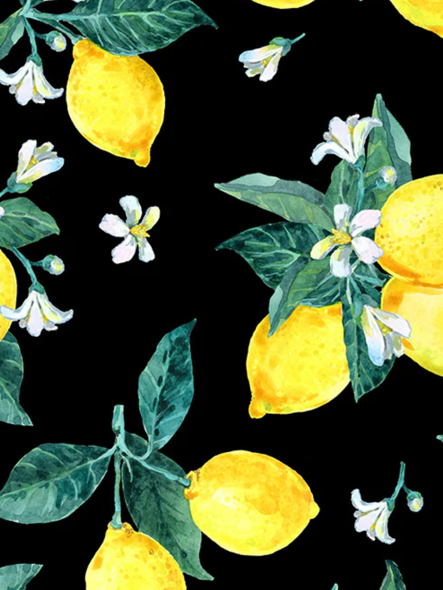 Lady V London Kleid Lyra Dress Amalfi Lemons schwarz